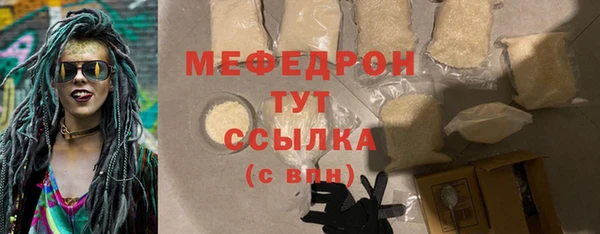 индика Елабуга