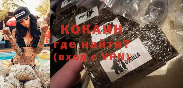 прущие крисы Гусев