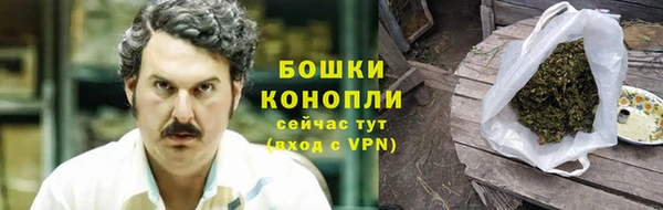 прущие крисы Гусев