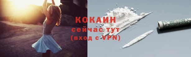 прущие крисы Гусев