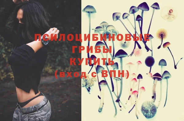 таблы Гусь-Хрустальный