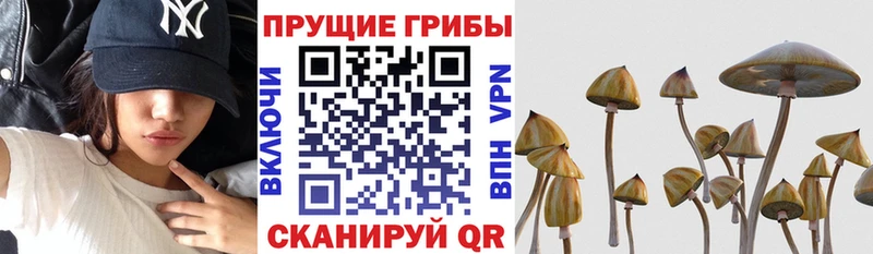 Псилоцибиновые грибы мухоморы Джанкой