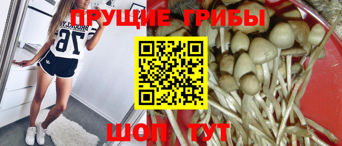 Псилоцибиновые грибы ЛСД  Джанкой 