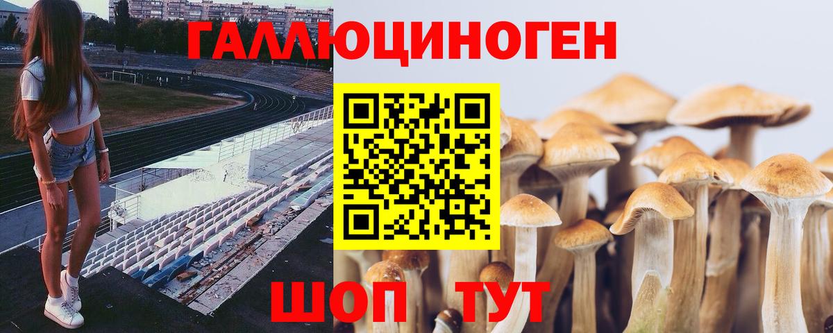 Псилоцибиновые грибы мицелий Джанкой