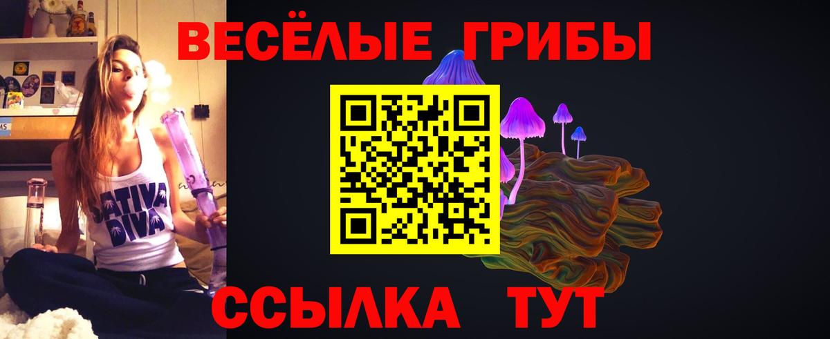 Джанкой  Галлюциногенные грибы Psilocybe  Вход с VPN 